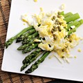 Asparagus mimosa