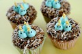 Baby bluebird cupcakes