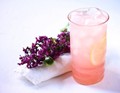 Rhubarb fizz