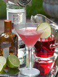 The cosmopolitan